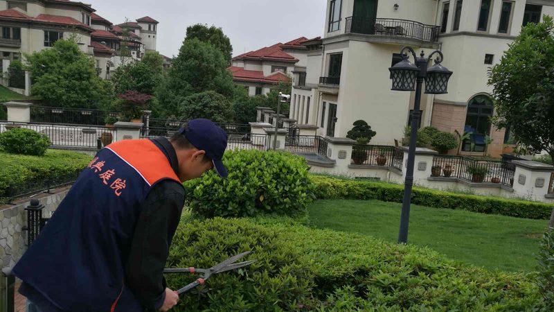 园林绿化工程批发报价，厂家如何选择？**