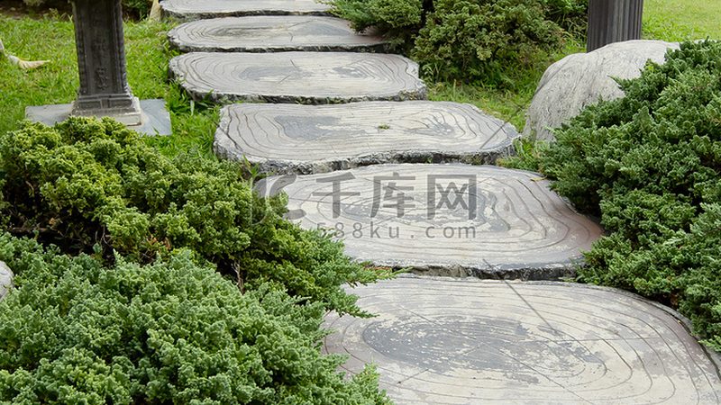 小型苗木种植加盟：投资预算解析与关键考量**