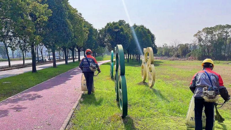 广州绿植租赁安装养护全流程解析