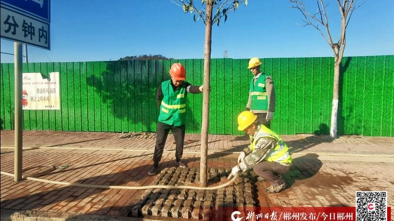 边坡绿化覆盖网：揭秘其背后的技术与应用