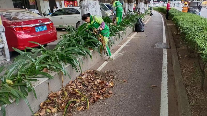 绿植租赁：如何选择十大品牌，规避行业陷阱