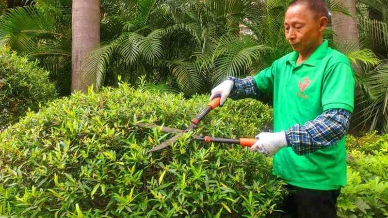 别墅花园绿化工程包工包料费用主要包括以下几部分：