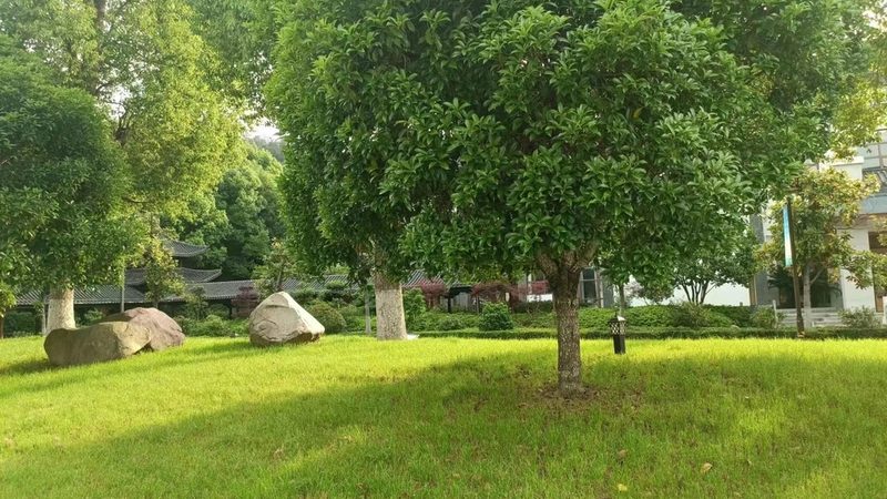 花卉租摆植物病虫害防治，这些方法你掌握了吗？**