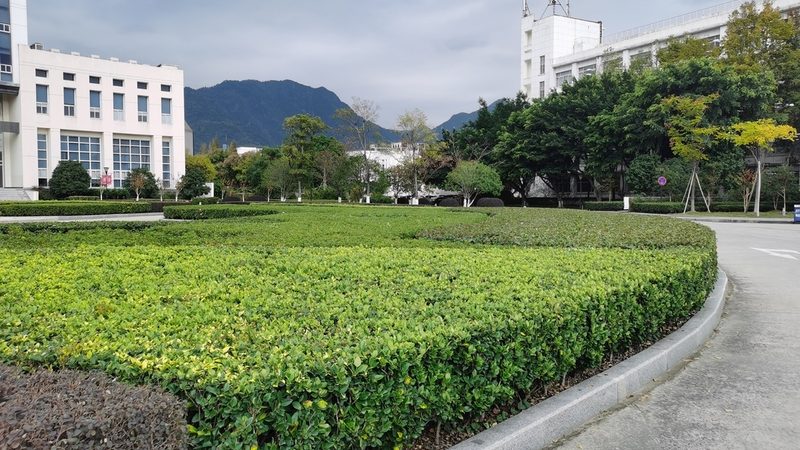 绿化竣工图审查要点：规范流程与质量把控
