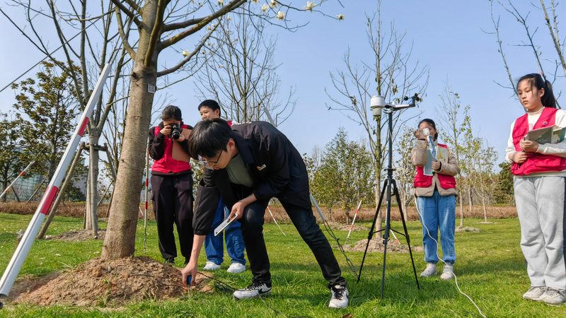 绿化苗木种植公司如何挑选？揭秘五大关键要素